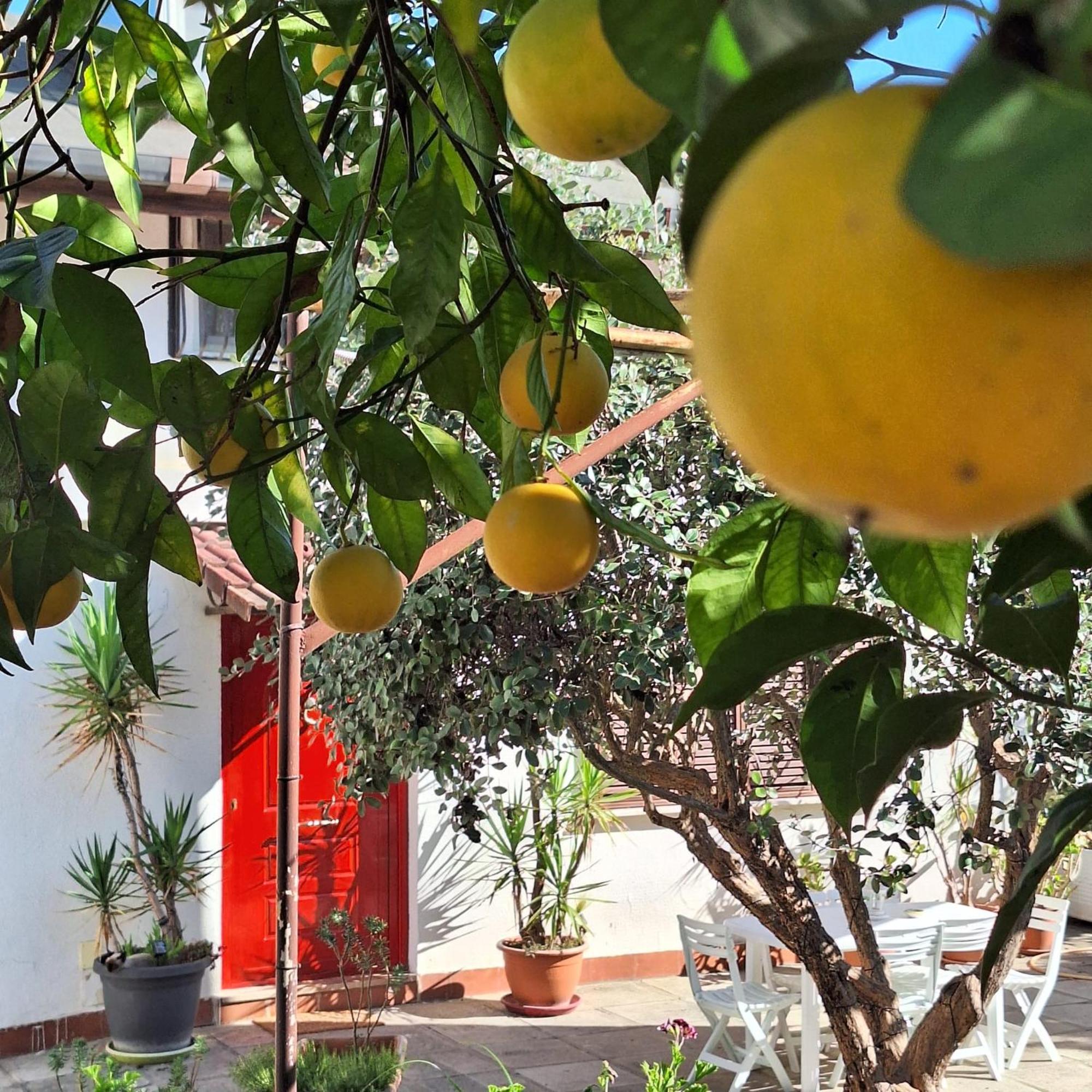 Giallo Limone B&B Salerno Esterno foto