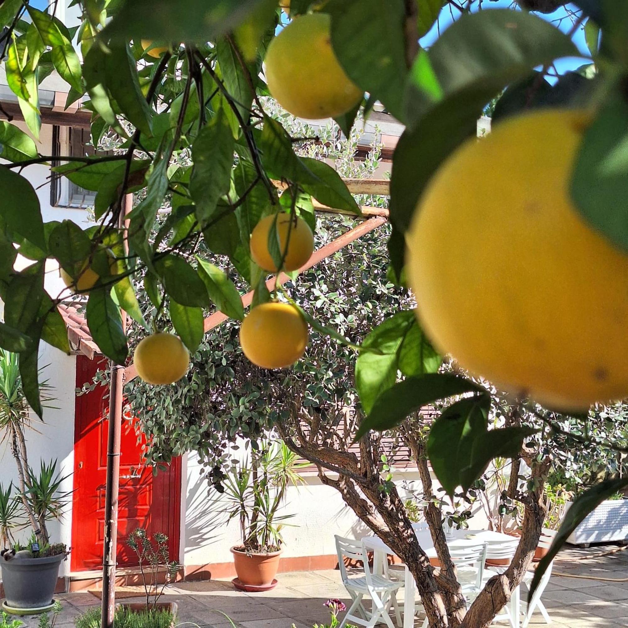 Giallo Limone B&B Salerno Esterno foto