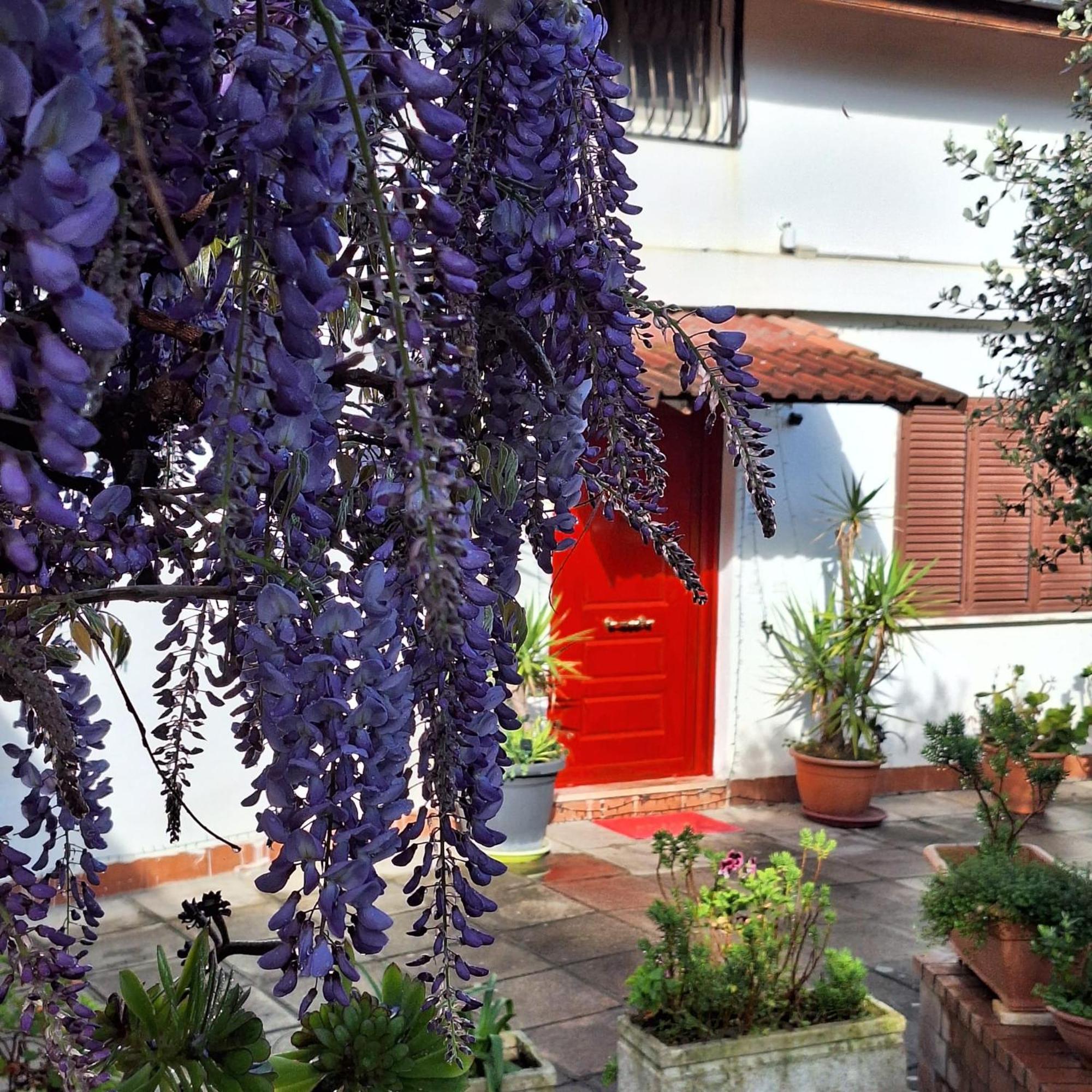 Giallo Limone B&B Salerno Esterno foto